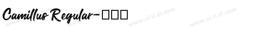 Camillus Regular字体转换 Camillus Regular字体转换